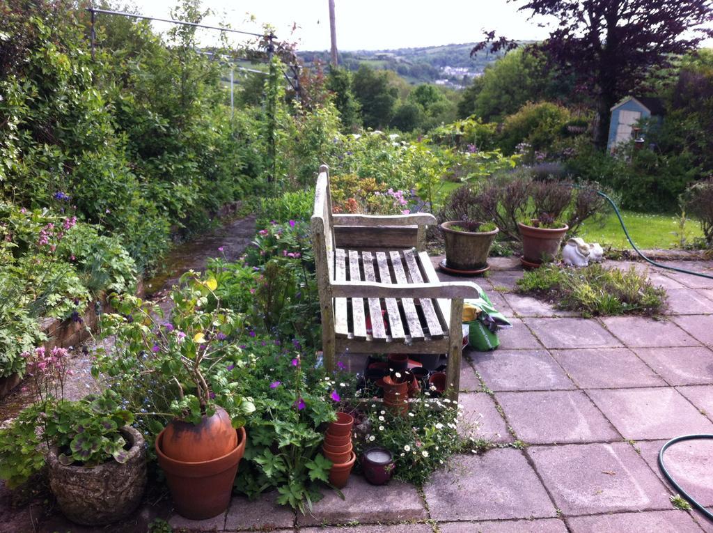 Vine Cottage Penpillick エクステリア 写真