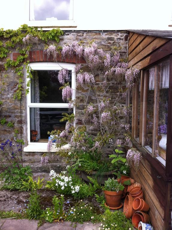 Vine Cottage Penpillick エクステリア 写真