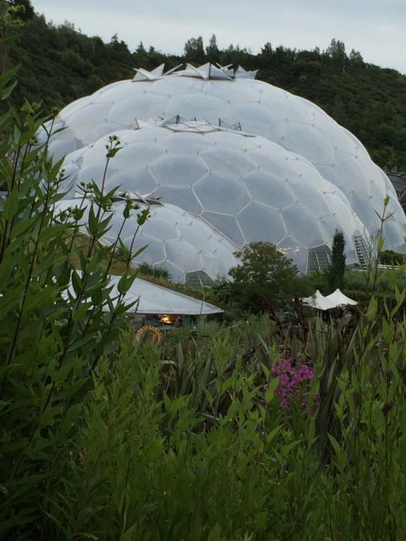 Vine Cottage Penpillick エクステリア 写真