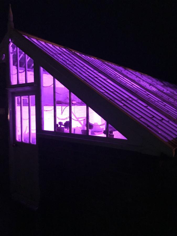 Vine Cottage Penpillick エクステリア 写真