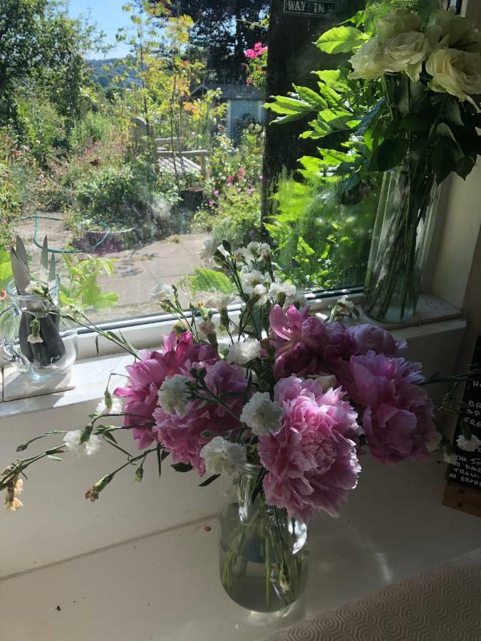 Vine Cottage Penpillick エクステリア 写真