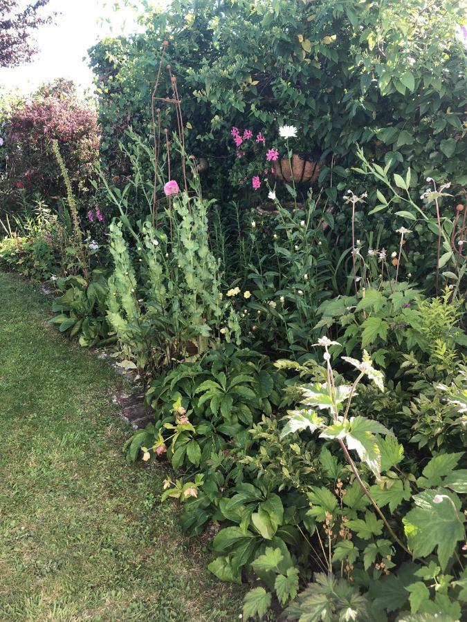 Vine Cottage Penpillick エクステリア 写真