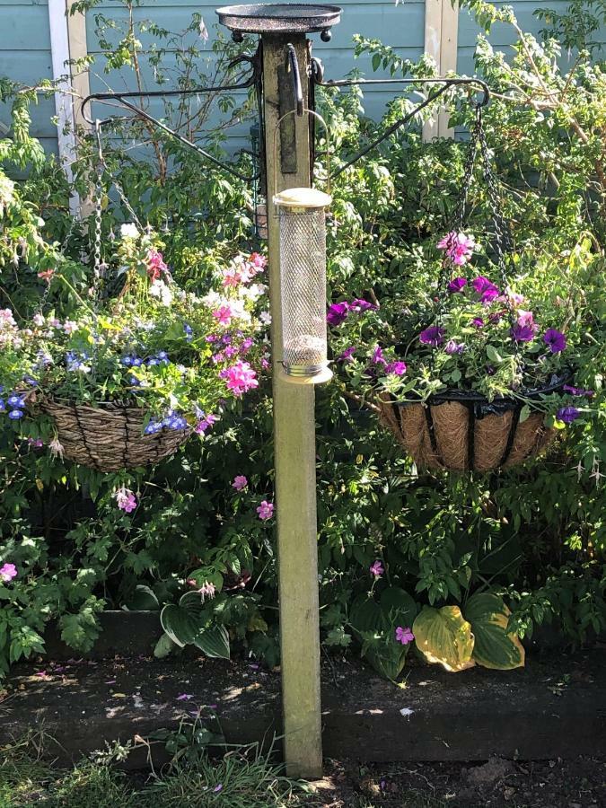 Vine Cottage Penpillick エクステリア 写真